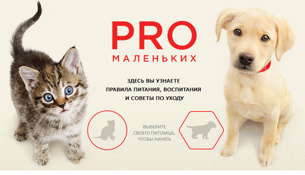 Акция PRO PLAN – Про маленьких!