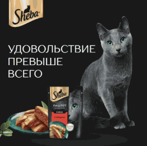 Sheba и Самокат «Sheba Variety»