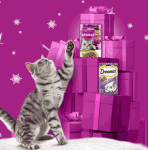 &laquo;Порадуйте замурррчательным подарком&raquo;