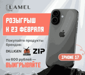 Акция Zip, Dilligen, Экспедиция и Lamel