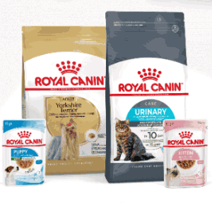 Акция Royal Canin и Зоозавр
