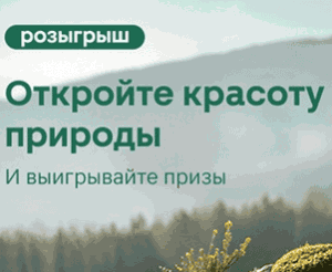 Акция Чистая Линия и Магнит