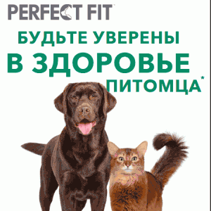 Акция Perfect Fit и Пятёрочка
