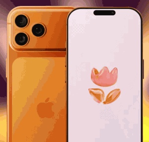 Акция Flowwow &laquo;Тайный Санта&raquo;