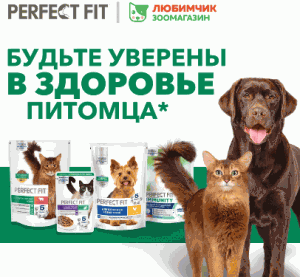 20 (1) «Активация Perfect Fit»