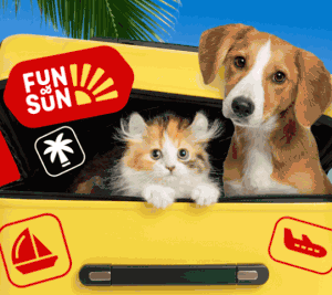 Акция Лента Зоомаркет и «Выиграйте путешествие с питомцем»