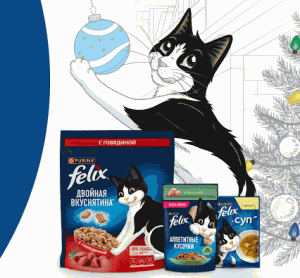 27 (1) Акция Felix и Лента «Хозяин и кот счастливы в Новый год»
