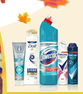 Акция ЮниРусь и Чистый Дом