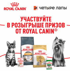 Акция Royal Canin, Четыре Лапы