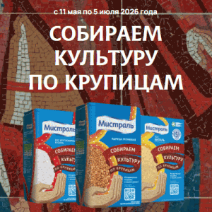 Акция Мистраль