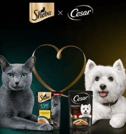 Акция Sheba, Cesar, Купер &laquo;Дарите любовь со вкусом&raquo;