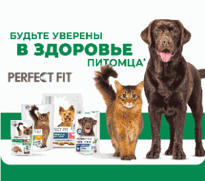 Розыгрыш призов от TM Perfect Fit