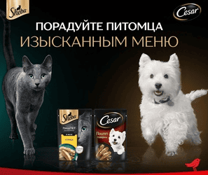 7 (1) Sheba_Cesar-Порадуйте питомца изысканным меню