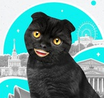 Акция от Москва 24