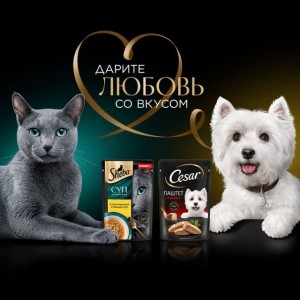 Акция Sheba, Cesar и Лента &laquo;Дарите любовь со вкусом в Ленте&raquo;
