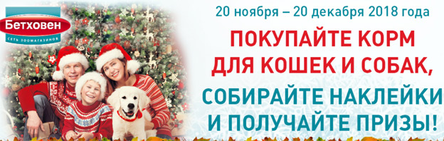 Акция Бетховен- С Новым годом!