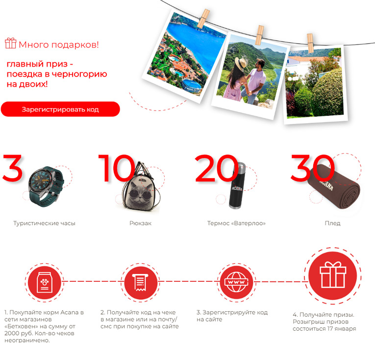 Бетховен – Акция Питая дух приключений!