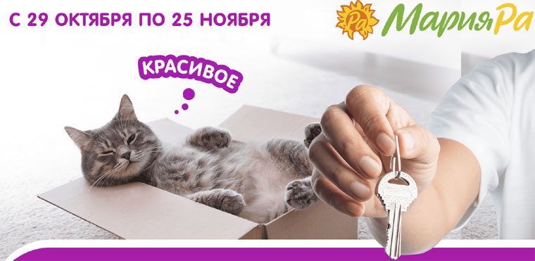 Мария-Ра: Акция Котику корм-вам новый дом.