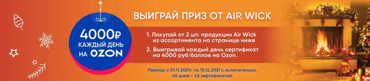 Решение участковой избирательной комиссии. Инфографика схема. Плашка выиграй приз озон. Порядок голосования. Информационный стенд на выборах.