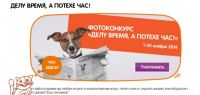 Акция Четыре лапы- Делу время, а потехе час!