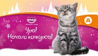 Акция Whiskas- С подарками в новый год от Марс.