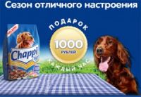 Акция Chappi- Сезон отличного настроения