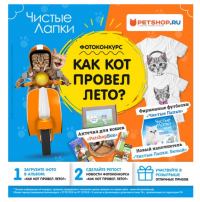 Акция Чистые лапки- Фотоконкурс «Как кот провёл лето?»