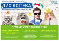 Акция Чистые лапки- Фотоконкурс ДисКОТека