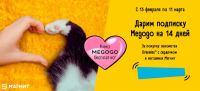 Dreamies в Магнит: Акция Кино MEGOGO бесплатно!