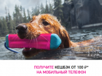 Eukanuba: Акция Кешбэк за покупку Eukanuba.