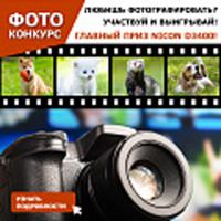 Акция Bosch Pet – Стань фотографом-анималистом!