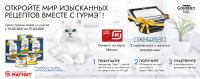 Gourmet и Магнит: Акция Gourmet в Магните.