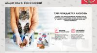 Акция Hills- Все о любви