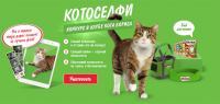 Акция Kitekat- Котоселфи