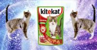Акция Kitekat- Кот Борис дарит приз переноску для кота!