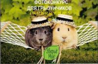 Акция эко-товаров Зверьё Моё- Фотоконкурс Я на Солнышке лежу