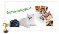 Акция от Чистые лапки- Фотоконкурс «ГлаМУРный кот»