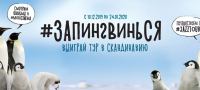 Mori Cinema – Акция #запингвинься!