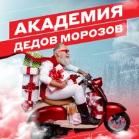 М.Видео: Акция Академия Дедов Морозов.