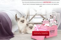 Акция Royal Canin– Подарок для котенка от Royal Canin!