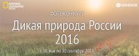 Акция National Geographic- Фотоконкурс «Дикая природа России – 2016″