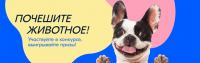 Ozon.ru: Акция Почешите ЖИВОТное.