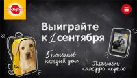 Акция Pedigree в Лента- 1АФ