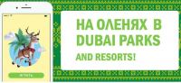 Перекрёсток- Акция На оленях в Dubai Parks and Resorts!