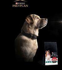 ProPlan: Акция Здоровье в Новом Году с экспертным питанием Pro Plan.