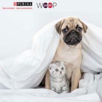 Purina One, Pro Plan и Woop: Акция Поделись мнением о кормах.