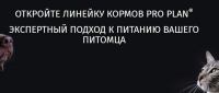 Pro Plan: Акция Празднуйте всемирный день собак с Pro Plan.
