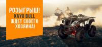 RollingMoto: Акция KAYO BULL ждет своего хозяина.