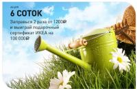 Акция Роснефть- 6 Соток.