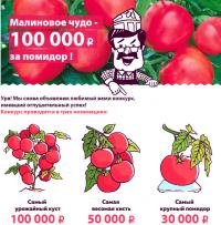 Акция Сад и огород- Малиновое чудо-100000 рублей за помидор!